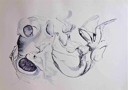 2 (Johannes Tomahogh)