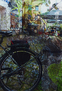 Stadtdschungel (Ingrid Prey)