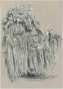 25 (Johannes Tomahogh)