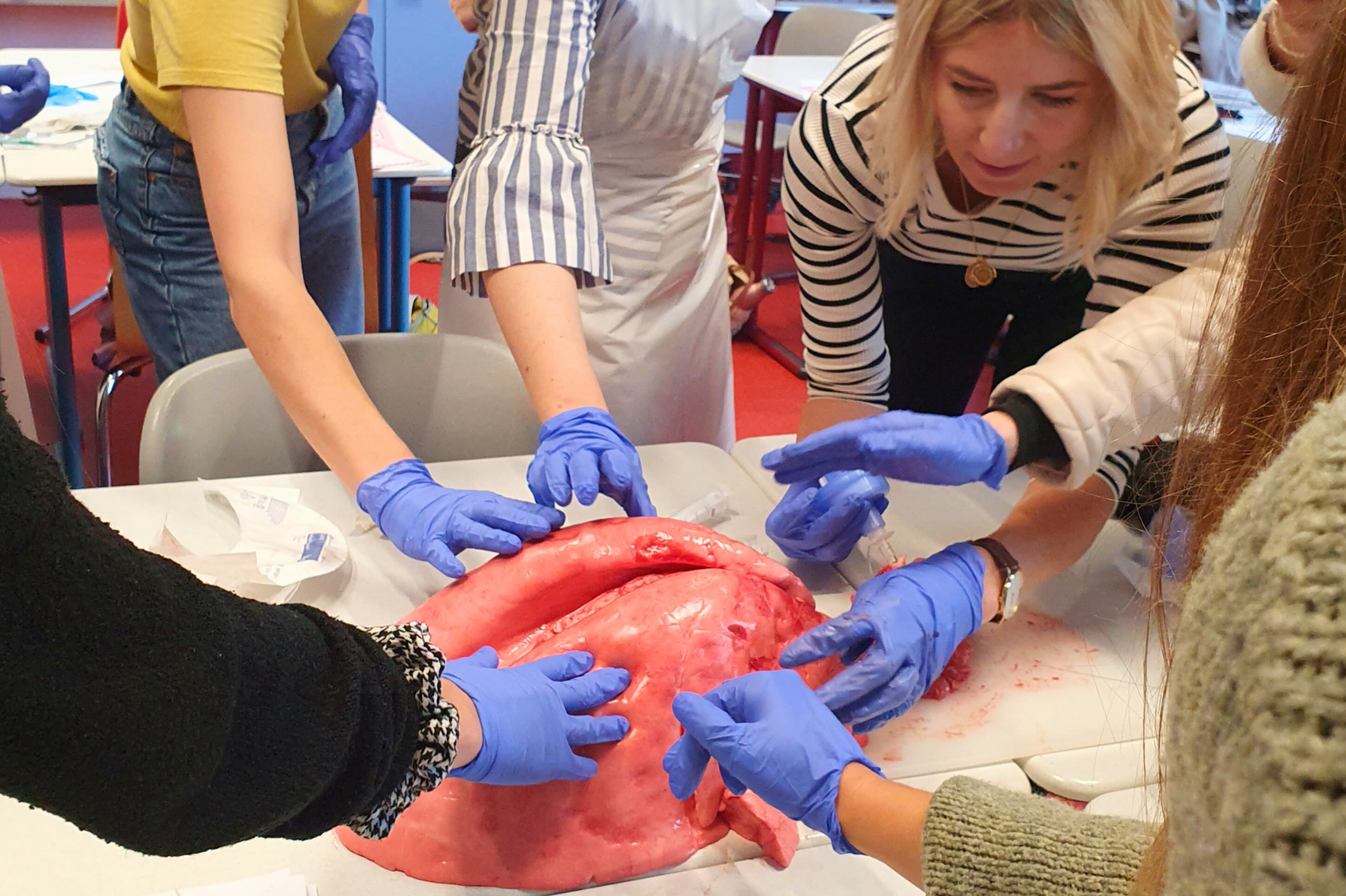 Sezieren medbo Pflegeschulen c Susanna Haselbeck