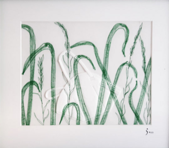 Nähbild 2 (Jutta Sonnleitner)