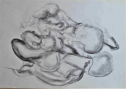 3 (Johannes Tomahogh)