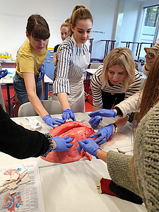 Sezieren medbo Pflegeschulen c Susanna Haselbeck