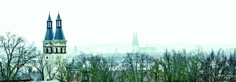 Panorama St. Vitus Dom Regensburg (Werner Bauer)